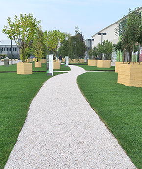 landscape design trends #1