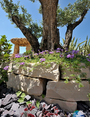 landscape design trends